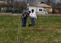 Actions “Clean Environment” and “Plant a Tree”